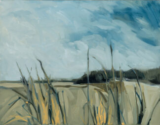 Marshland