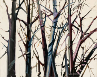 Megan's Trees